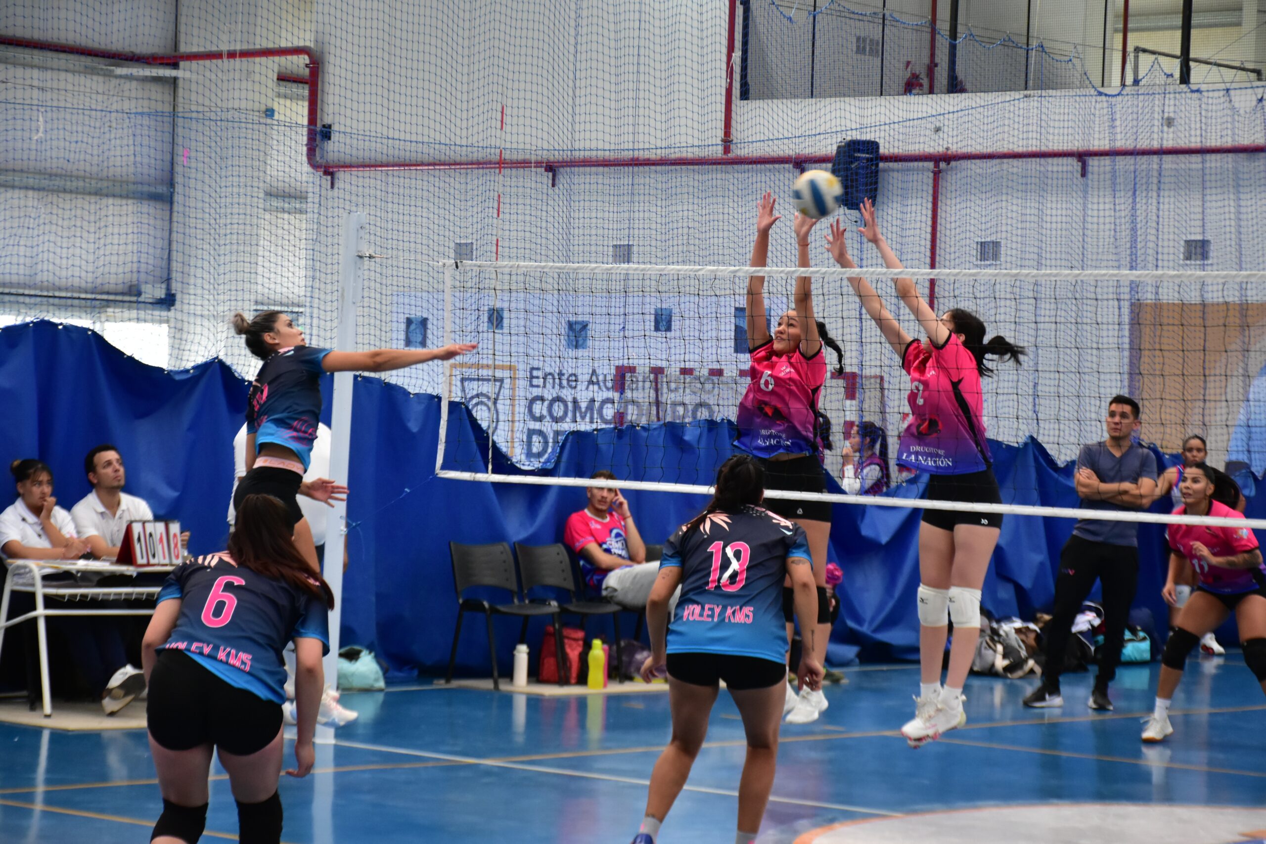 Vóley: Waiwen y Municipal Nº4, campeones del Provincial de Mayores